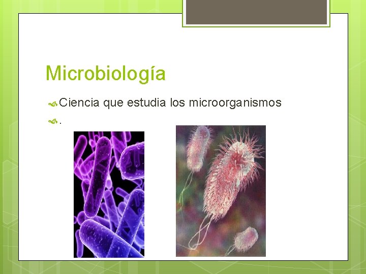 Microbiología Ciencia . que estudia los microorganismos 