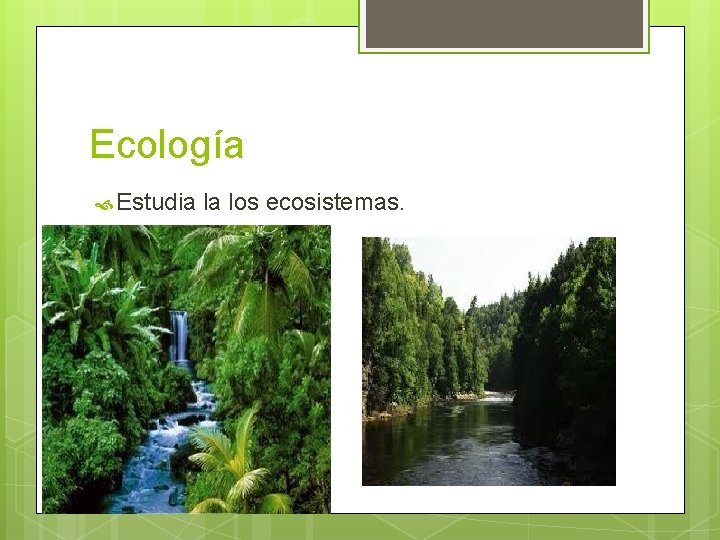 Ecología Estudia la los ecosistemas. 