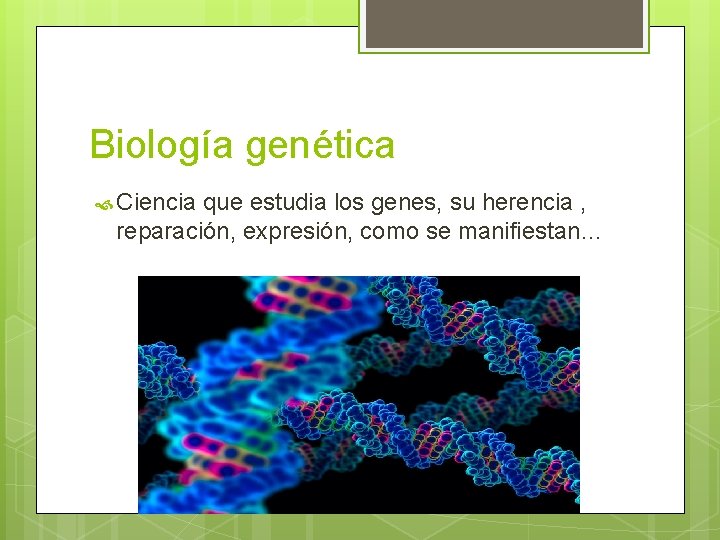 Biología genética Ciencia que estudia los genes, su herencia , reparación, expresión, como se