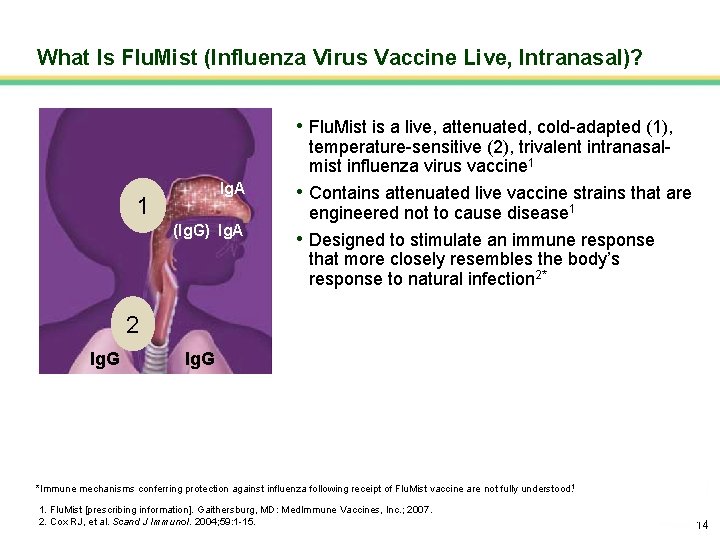 What Is Flu. Mist (Influenza Virus Vaccine Live, Intranasal)? • Flu. Mist is a