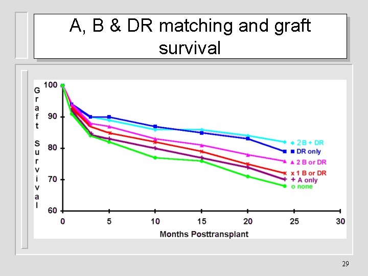 A, B & DR matching and graft survival 29 