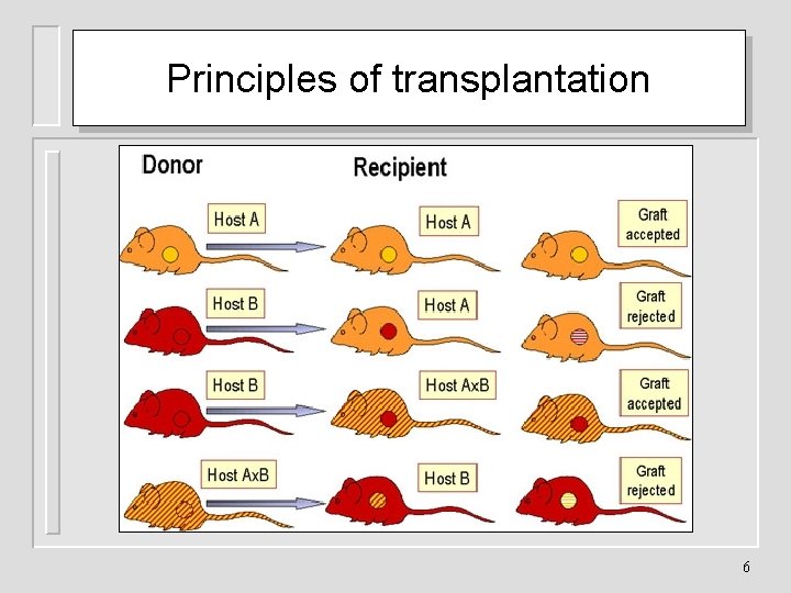 Principles of transplantation 6 