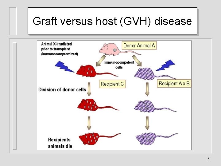 Graft versus host (GVH) disease 8 