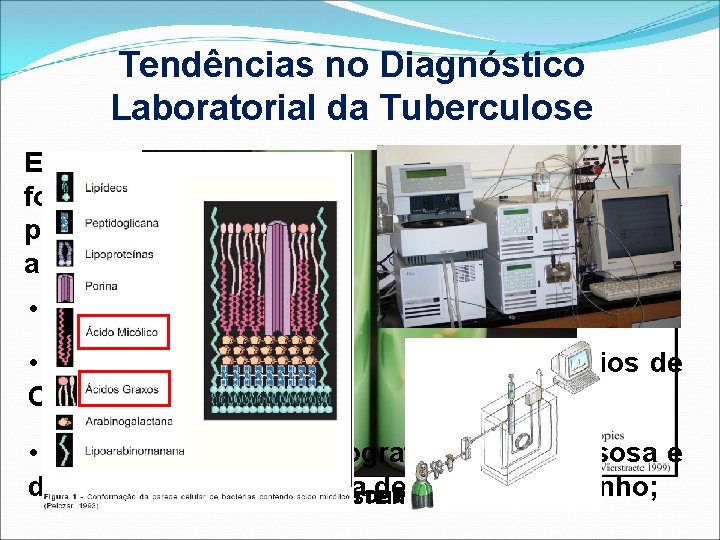 Tendências no Diagnóstico Laboratorial da Tuberculose Em resposta a essas situações clínicas alteradas, foram