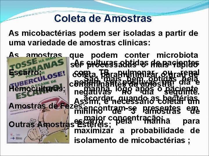 Coleta de Amostras As micobactérias podem ser isoladas a partir de uma variedade de