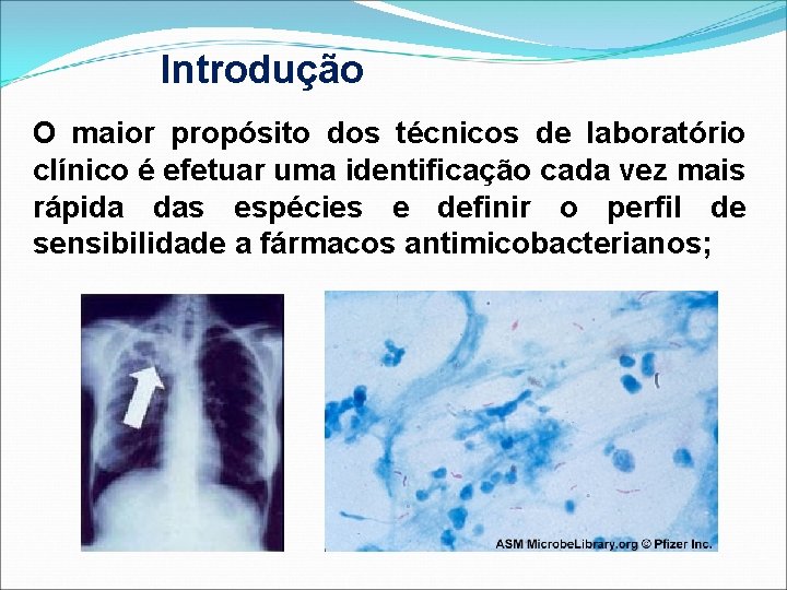 Introdução O maior propósito dos técnicos de laboratório clínico é efetuar uma identificação cada