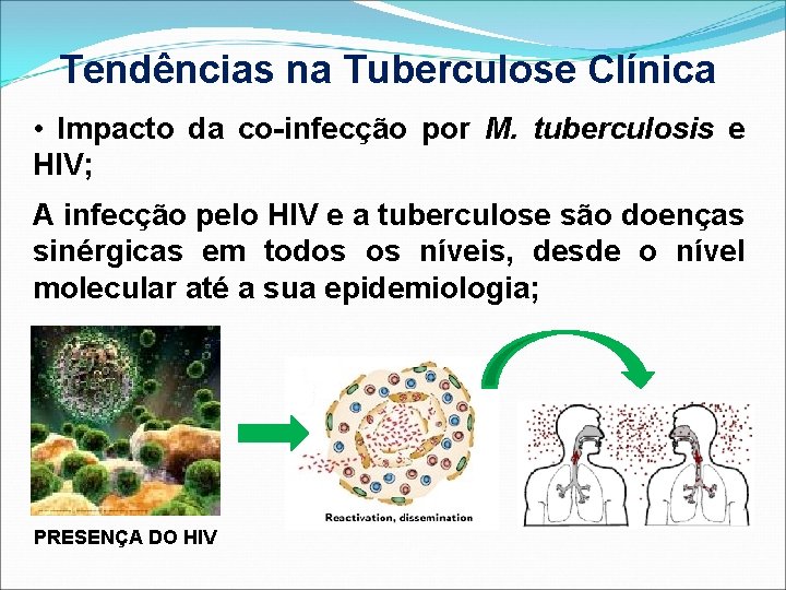 Tendências na Tuberculose Clínica • Impacto da co-infecção por M. tuberculosis e HIV; A