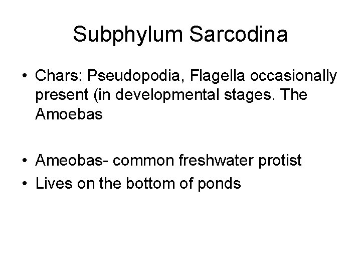 Subphylum Sarcodina • Chars: Pseudopodia, Flagella occasionally present (in developmental stages. The Amoebas •