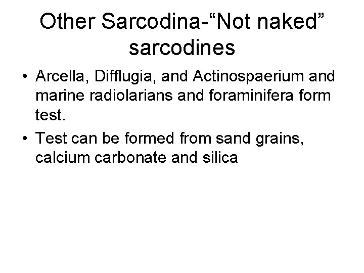 Other Sarcodina-“Not naked” sarcodines • Arcella, Difflugia, and Actinospaerium and marine radiolarians and foraminifera
