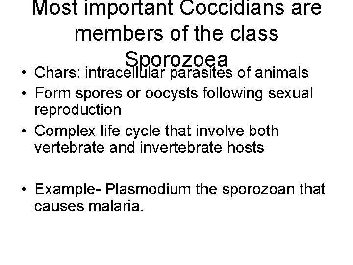 Most important Coccidians are members of the class Sporozoea • Chars: intracellular parasites of
