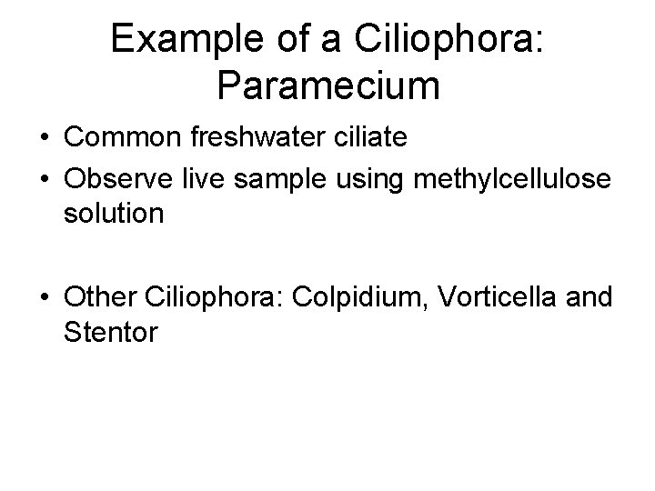 Example of a Ciliophora: Paramecium • Common freshwater ciliate • Observe live sample using