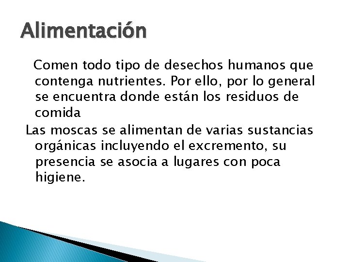 Alimentación Comen todo tipo de desechos humanos que contenga nutrientes. Por ello, por lo