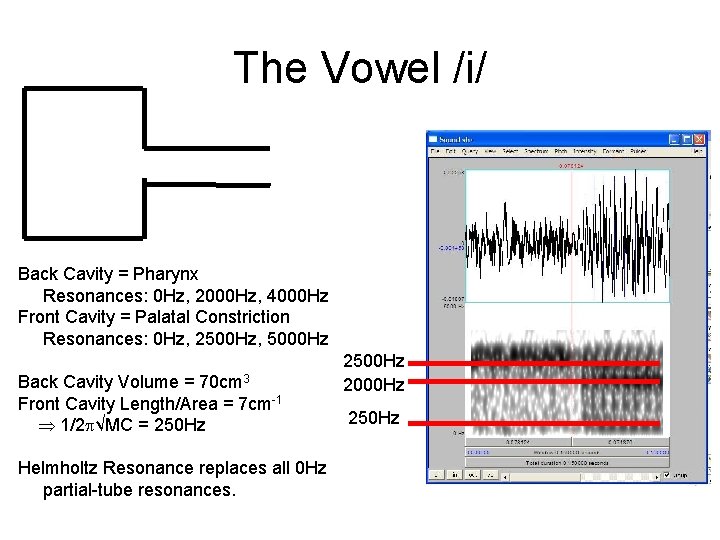 The Vowel /i/ Back Cavity = Pharynx Resonances: 0 Hz, 2000 Hz, 4000 Hz