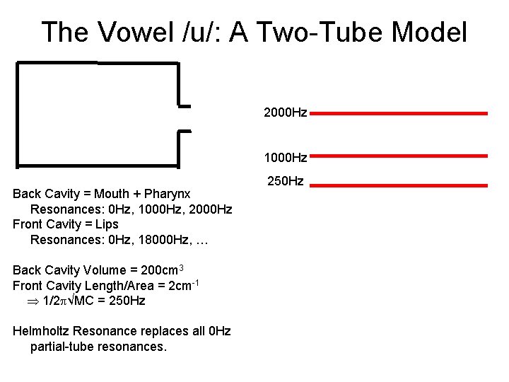 The Vowel /u/: A Two-Tube Model 2000 Hz 1000 Hz Back Cavity = Mouth