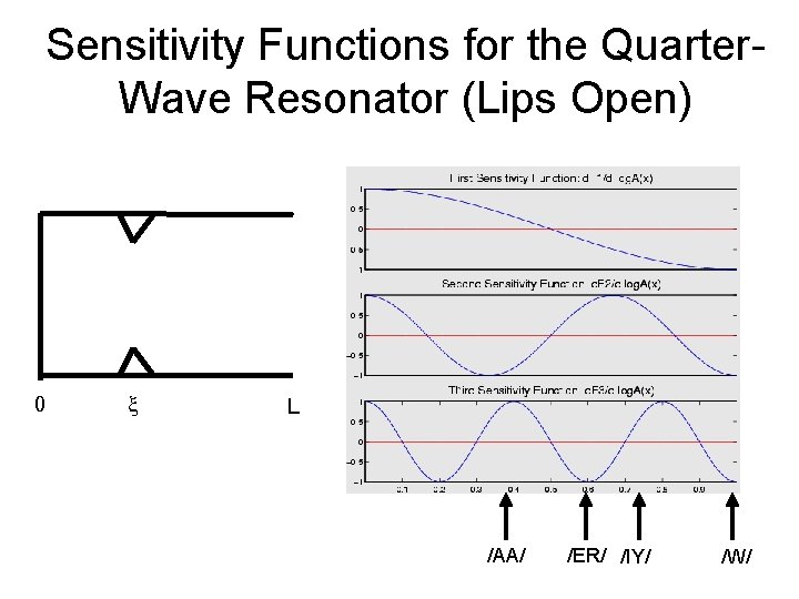 Sensitivity Functions for the Quarter. Wave Resonator (Lips Open) 0 x L /AA/ /ER/