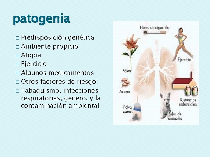 patogenia Predisposición genética � Ambiente propicio � Atopia � Ejercicio � Algunos medicamentos �
