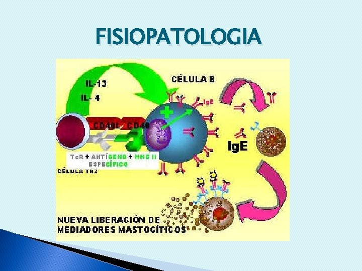 FISIOPATOLOGIA 