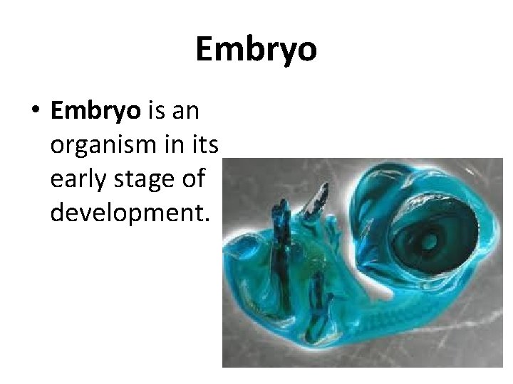 Embryo • Embryo is an organism in its early stage of development. 