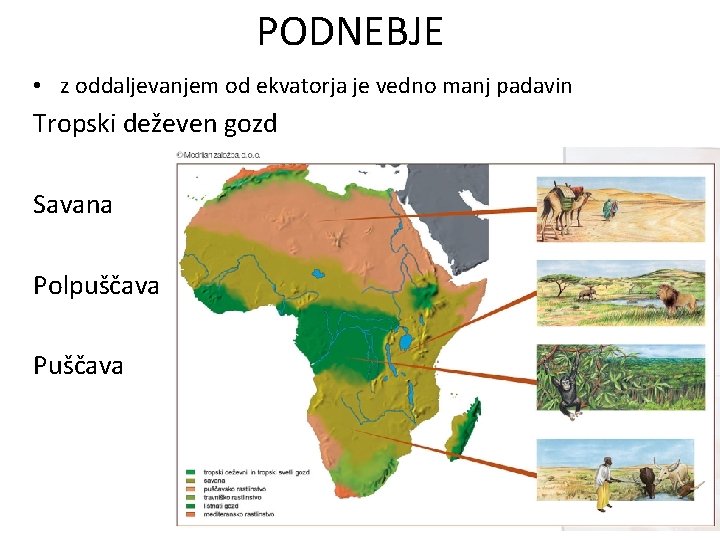 PODNEBJE • z oddaljevanjem od ekvatorja je vedno manj padavin Tropski deževen gozd Savana PODNEBJE • z oddaljevanjem od ekvatorja je vedno manj padavin Tropski deževen gozd Savana