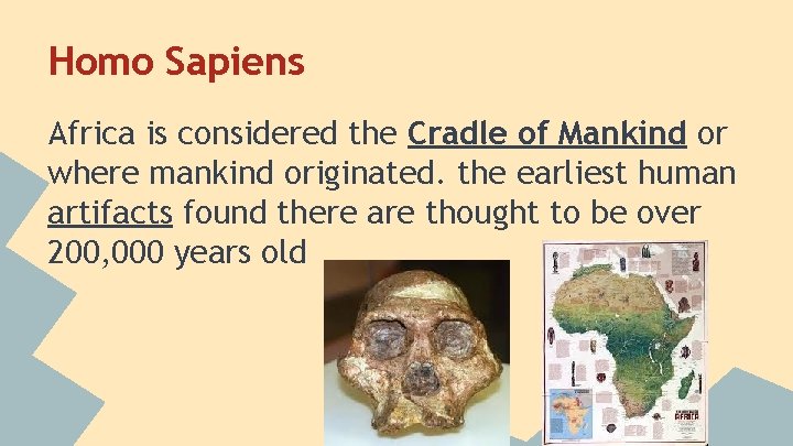 Homo Sapiens Africa is considered the Cradle of Mankind or where mankind originated. the