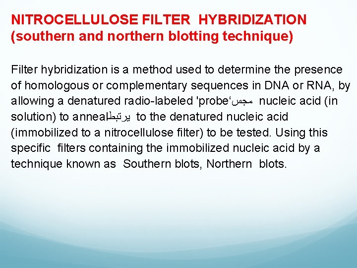 NITROCELLULOSE FILTER HYBRIDIZATION　 (southern and northern blotting technique) Filter hybridization is a method used