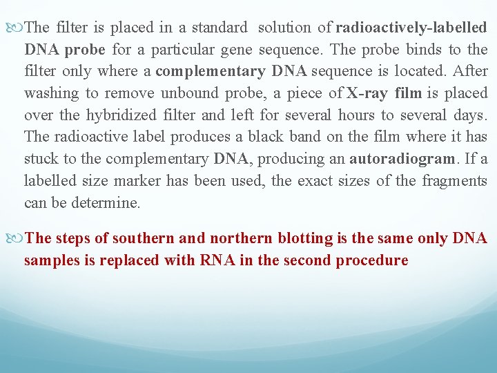  The filter is placed in a standard solution of radioactively-labelled DNA probe for