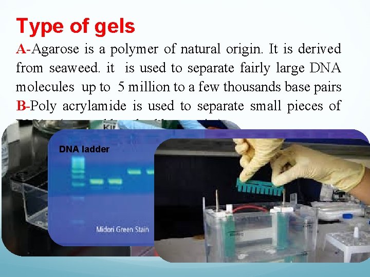 Type of gels A-Agarose is a polymer of natural origin. It is derived from