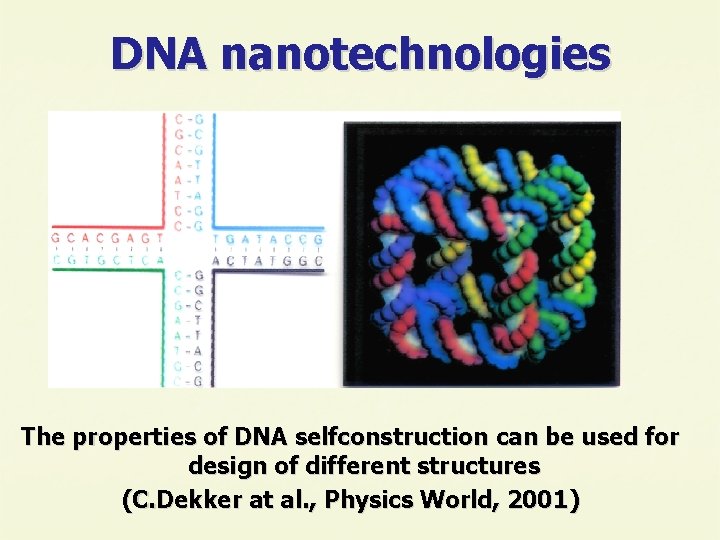 DNA nanotechnologies The properties of DNA selfconstruction can be used for design of different