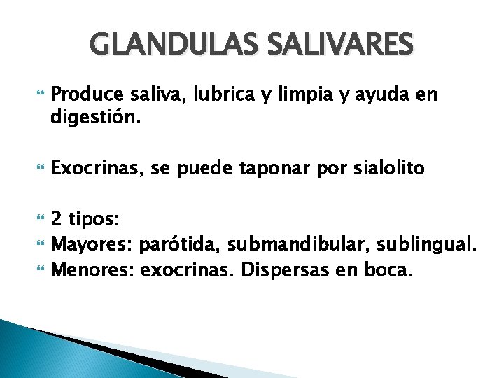 GLANDULAS SALIVARES Produce saliva, lubrica y limpia y ayuda en digestión. Exocrinas, se puede