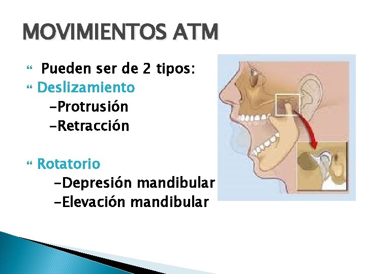 MOVIMIENTOS ATM Pueden ser de 2 tipos: Deslizamiento -Protrusión -Retracción Rotatorio -Depresión mandibular -Elevación