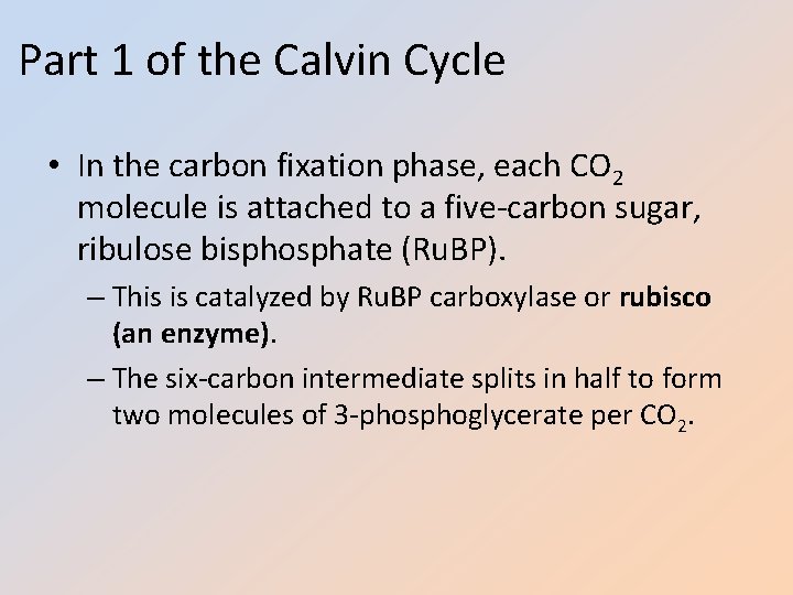 Part 1 of the Calvin Cycle • In the carbon fixation phase, each CO