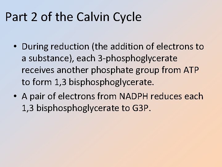 Part 2 of the Calvin Cycle • During reduction (the addition of electrons to