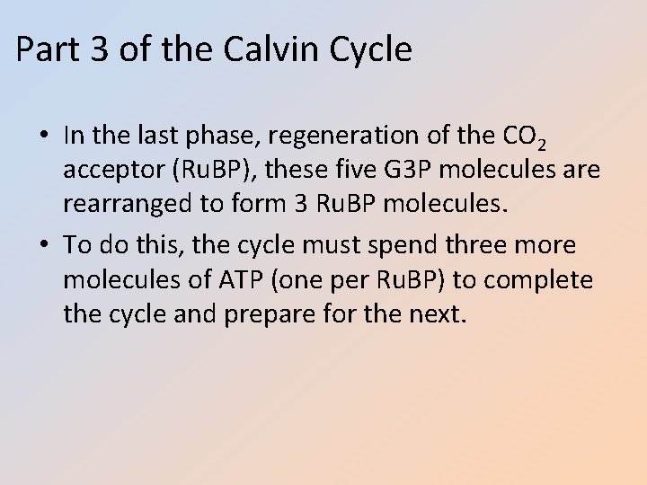 Part 3 of the Calvin Cycle • In the last phase, regeneration of the