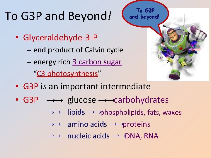 To G 3 P and Beyond! To G 3 P and beyond! • Glyceraldehyde-3