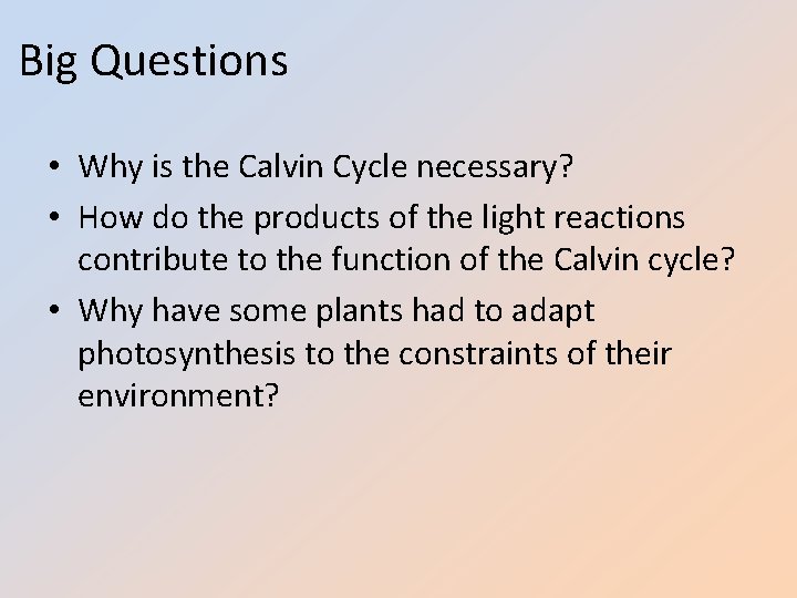 Big Questions • Why is the Calvin Cycle necessary? • How do the products