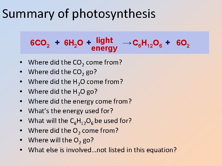 Summary of photosynthesis 6 CO 2 + 6 H 2 O + light →