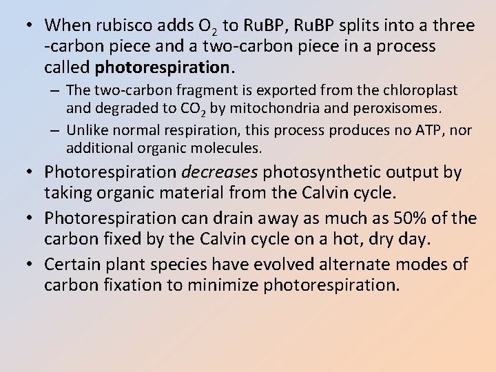  • When rubisco adds O 2 to Ru. BP, Ru. BP splits into