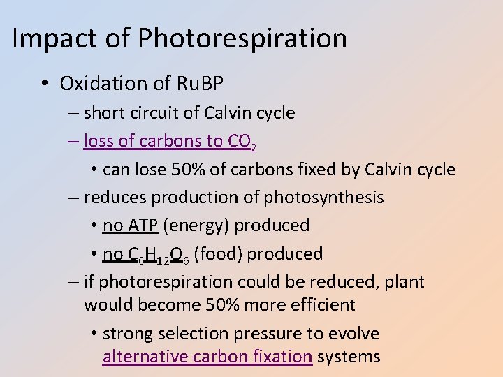 Impact of Photorespiration • Oxidation of Ru. BP – short circuit of Calvin cycle