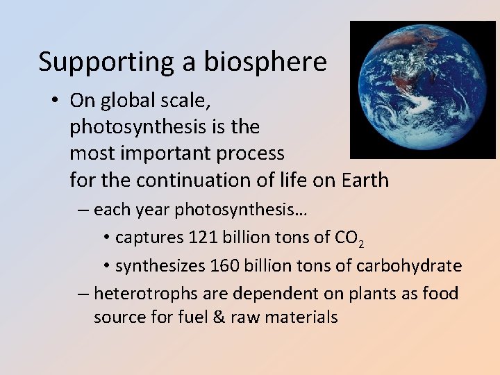 Supporting a biosphere • On global scale, photosynthesis is the most important process for