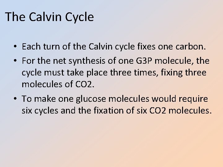 The Calvin Cycle • Each turn of the Calvin cycle fixes one carbon. •