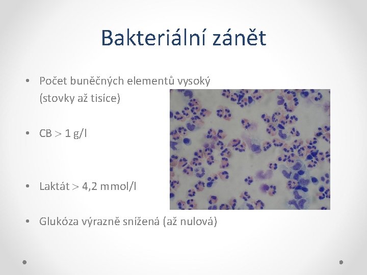 Bakteriální zánět • Počet buněčných elementů vysoký (stovky až tisíce) • CB 1 g/l