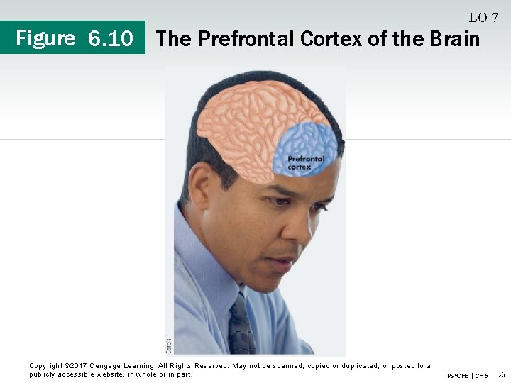 Figure 6. 10 LO 7 The Prefrontal Cortex of the Brain Copyright © 2017