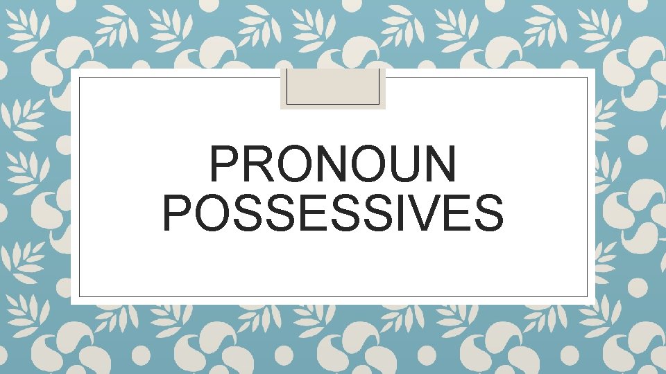 PRONOUN POSSESSIVES 