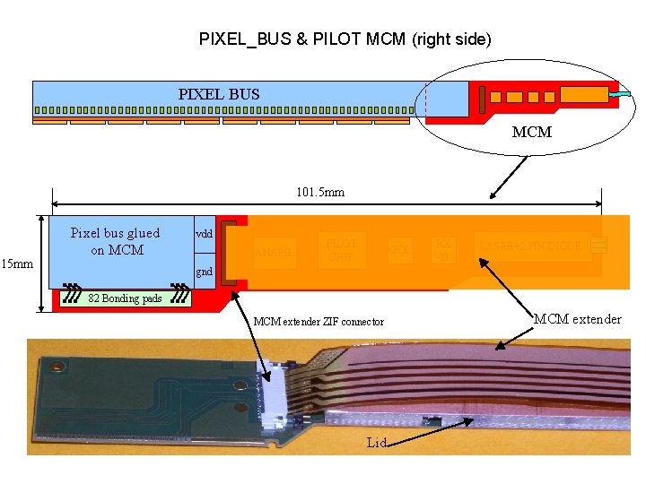 PIXEL_BUS & PILOT MCM (right side) PIXEL BUS MCM 101. 5 mm 15 mm