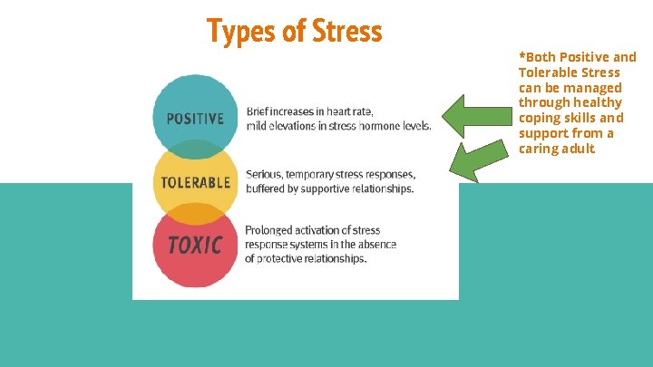 Types of Stress *Both Positive and Tolerable Stress can be managed through healthy coping