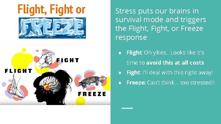 Flight, Fight or Stress puts our brains in survival mode and triggers the Flight,