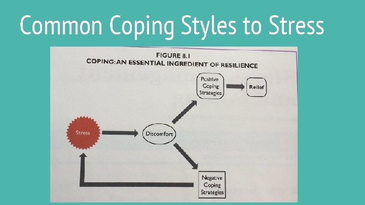 Common Coping Styles to Stress 
