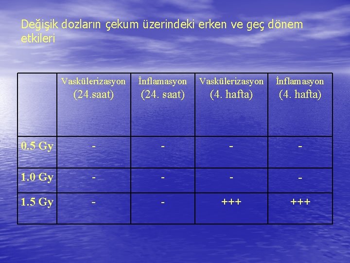 Değişik dozların çekum üzerindeki erken ve geç dönem etkileri Vaskülerizasyon İnflamasyon (24. saat) (4. Değişik dozların çekum üzerindeki erken ve geç dönem etkileri Vaskülerizasyon İnflamasyon (24. saat) (4.