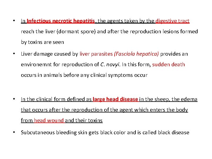  • In Infectious necrotic hepatitis, the agents taken by the digestive tract reach