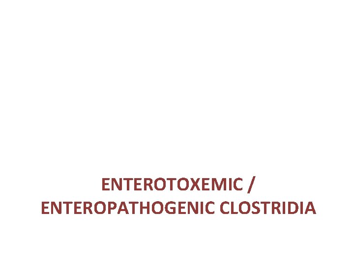 ENTEROTOXEMIC / ENTEROPATHOGENIC CLOSTRIDIA 
